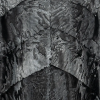 Цвет: Black Silver