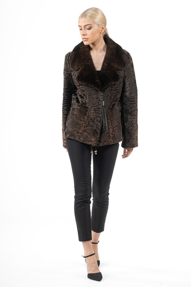 Куртка из меха каракульчи с английским воротником из меха не стриженой норки K-504-02
